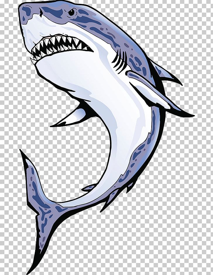 Shark Fin Soup Requiem Shark PNG, Clipart, Animals, Automotive Design, Big White Shark, Cartilaginous Fish, Cartoon Shark Free PNG Download