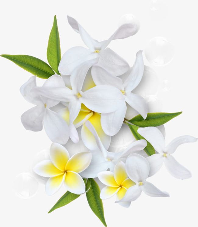 White Flowers PNG, Clipart, Bubble, Care, Decoration, Flowers, Flowers Clipart Free PNG Download