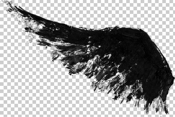 Black And White Ink Wing PNG, Clipart, Black, Black And White, Computer Icons, Download, Ink Free PNG Download