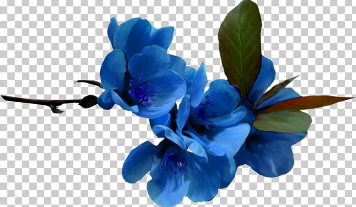 Blue Flower Color Desktop PNG, Clipart, Blue, Color, Desktop Wallpaper, Flower, Flowering Plant Free PNG Download
