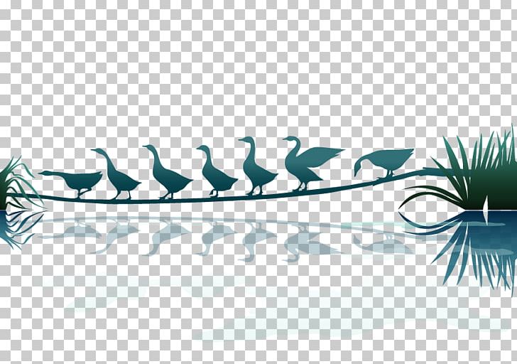 Mute Swan Nature Natural Landscape PNG, Clipart, Angle, Animals, Aqua, Beautiful Vector, Brand Free PNG Download