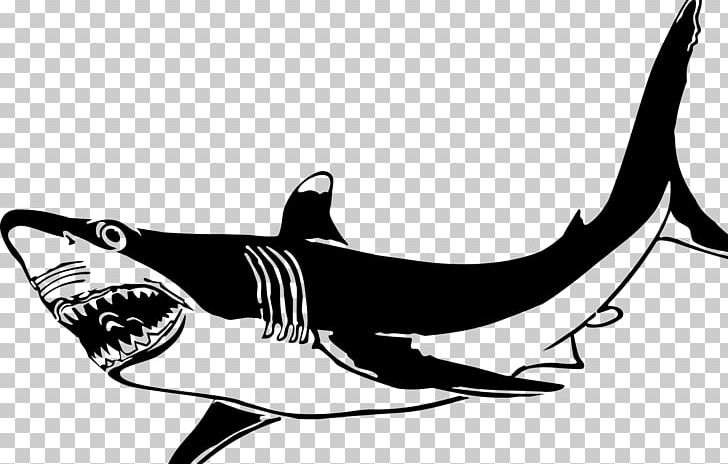 Shark Fin Soup Printed T-shirt Spreadshirt PNG, Clipart, Animals, Beak, Bird, Black, Black And White Free PNG Download
