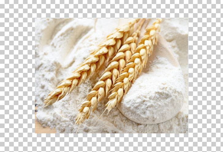 Atta Flour Common Wheat Wheat Flour Food PNG, Clipart, Atta Flour, Cereal, Cereal Germ, Chapati, Commodity Free PNG Download