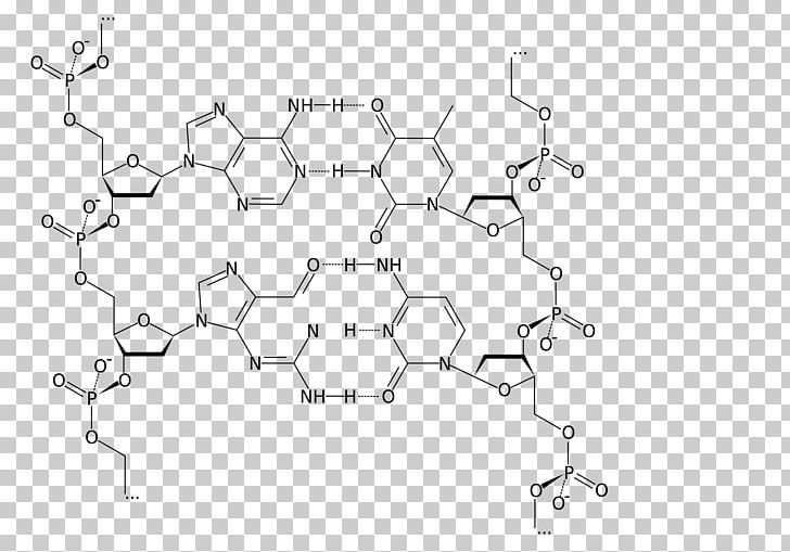 DNA Nucleic Acid Structure Adenine Cytosine PNG, Clipart, Angle, Area, Auto Part, Black And White, Cars Free PNG Download