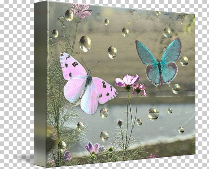 Frames Gallery Wrap Canvas Art Printmaking PNG, Clipart, Art, Butterfly, Canvas, Fauna, Flower Free PNG Download