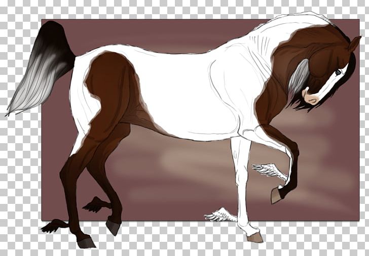 Mane Mustang Stallion Mare Pony PNG, Clipart, Dog Harness, Florida Kraze Krush Soccer Club, Halter, Horse, Horse Harness Free PNG Download