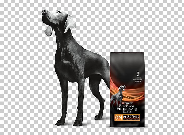 Weimaraner Nestlé Purina PetCare Company Dog Food Dog Breed Veterinarian PNG, Clipart,  Free PNG Download