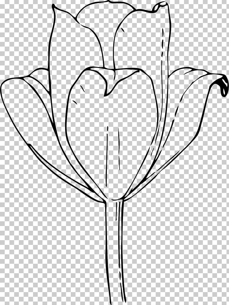 Coloring Book Child Tulip Adult Flower PNG, Clipart, Abdomen, Adult, Artwork, Black, Black And White Free PNG Download