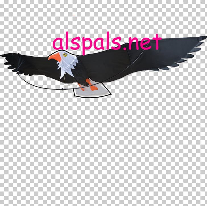 Eagle Bird Kite Beak Feather PNG, Clipart, Aigle, Animals, Beak, Biplane, Bird Free PNG Download