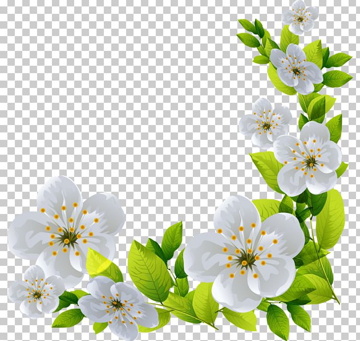 Flower PNG, Clipart, Art, Blossom, Blume, Branch, Cherry Blossom Free PNG Download