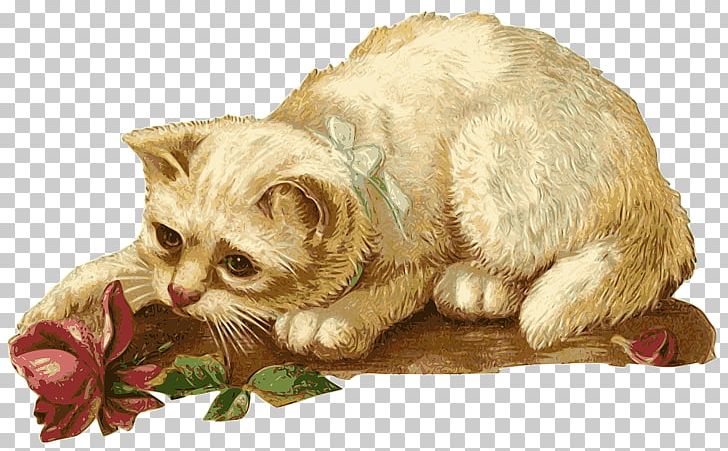 Kitten Cat PNG, Clipart, Animals, Antique, Art, Black Cat, Blog Free PNG Download
