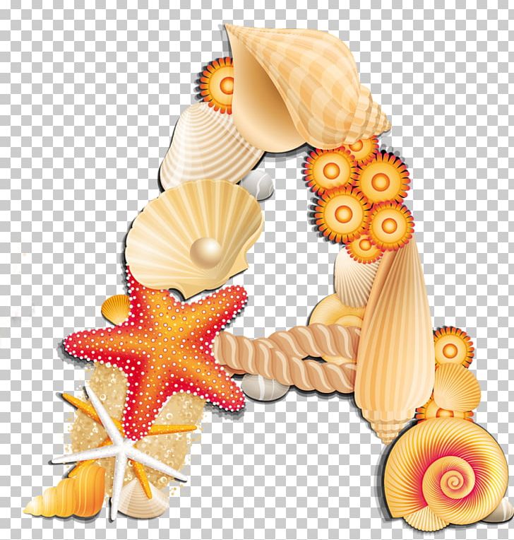 Letter Alphabet Beach Seashell PNG, Clipart, Alphabet, Beach, Food, Fruit, Letter Free PNG Download