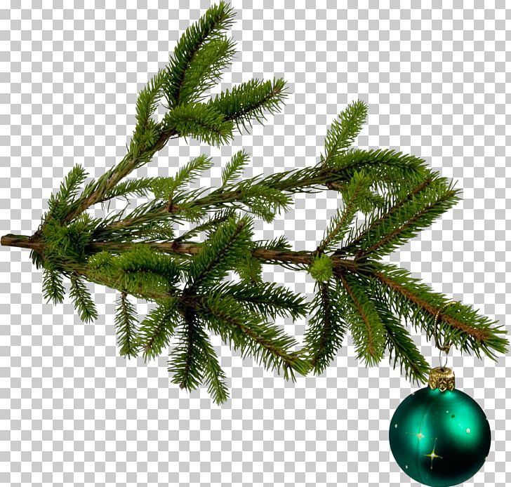 Christmas Tree Christmas Ornament Fir PNG, Clipart, Artificial Christmas Tree, Branch, Christmas, Christmas Decoration, Christmas Ornament Free PNG Download