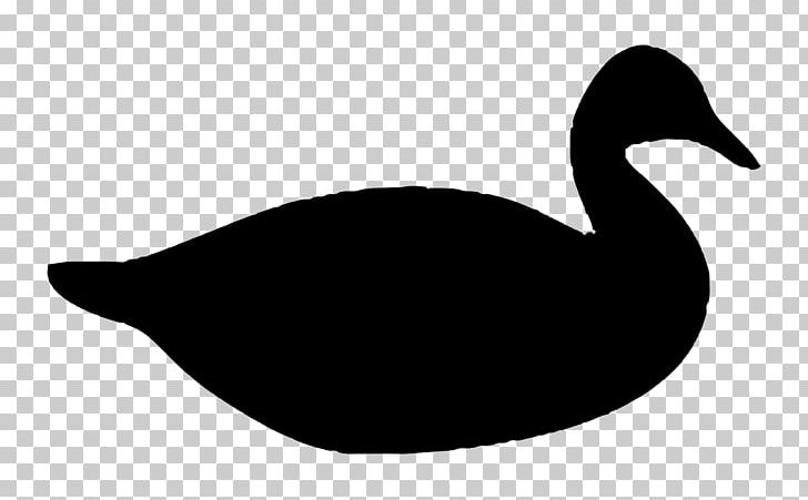 Donald Duck Mallard Daisy Duck PNG, Clipart, Animals, Beak, Bird, Black And White, Cygnini Free PNG Download