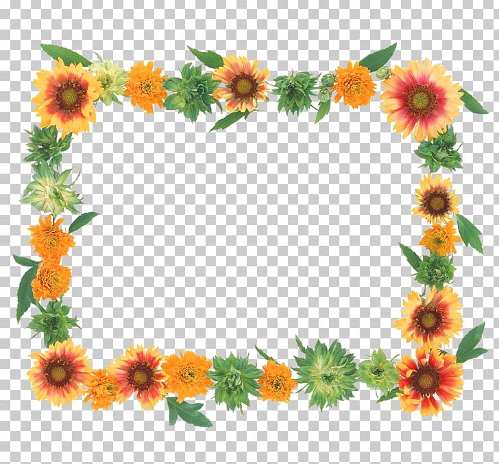 Flower Frames PNG, Clipart, Chrysanthemum, Chrysanths, Color, Cut Flowers, Daisy Family Free PNG Download