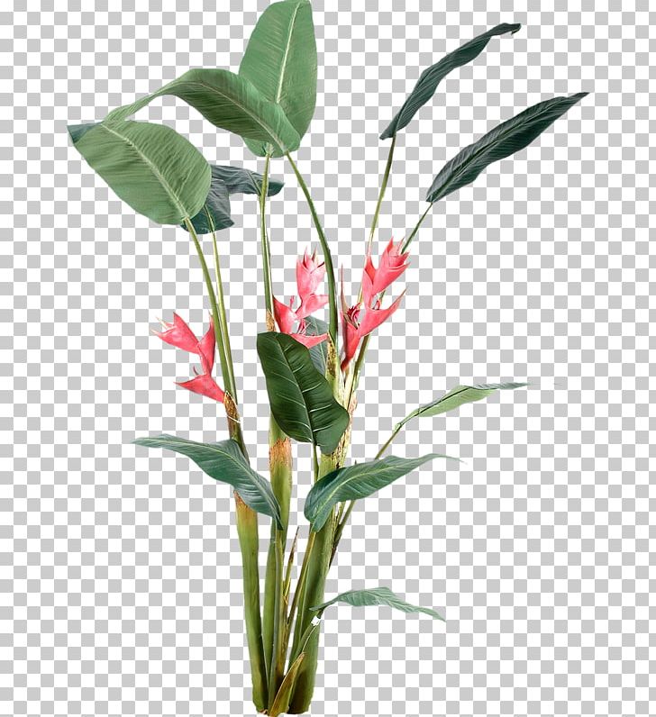 Plant Encapsulated PostScript PNG, Clipart, Cut Flowers, Encapsulated Postscript, Floral Design, Floristry, Flower Free PNG Download
