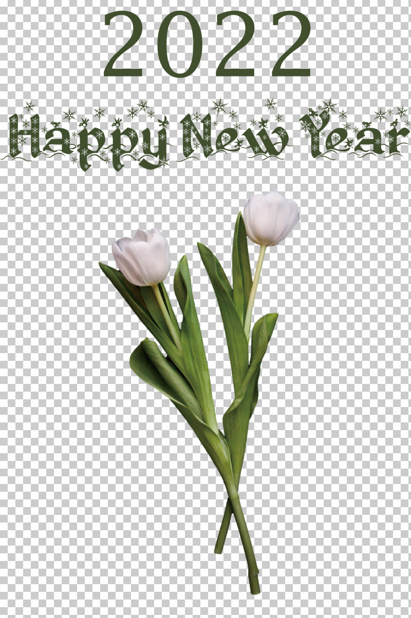 2022 Happy New Year 2022 New Year 2022 PNG, Clipart, Biology, Bud, Cut Flowers, Floristry, Flower Free PNG Download