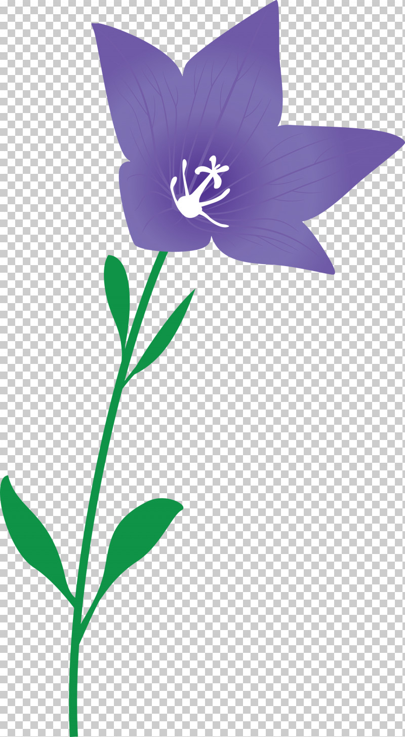 Balloon Flower PNG, Clipart, Balloon Flower, Flora, Flower, Herbaceous Plant, Leaf Free PNG Download