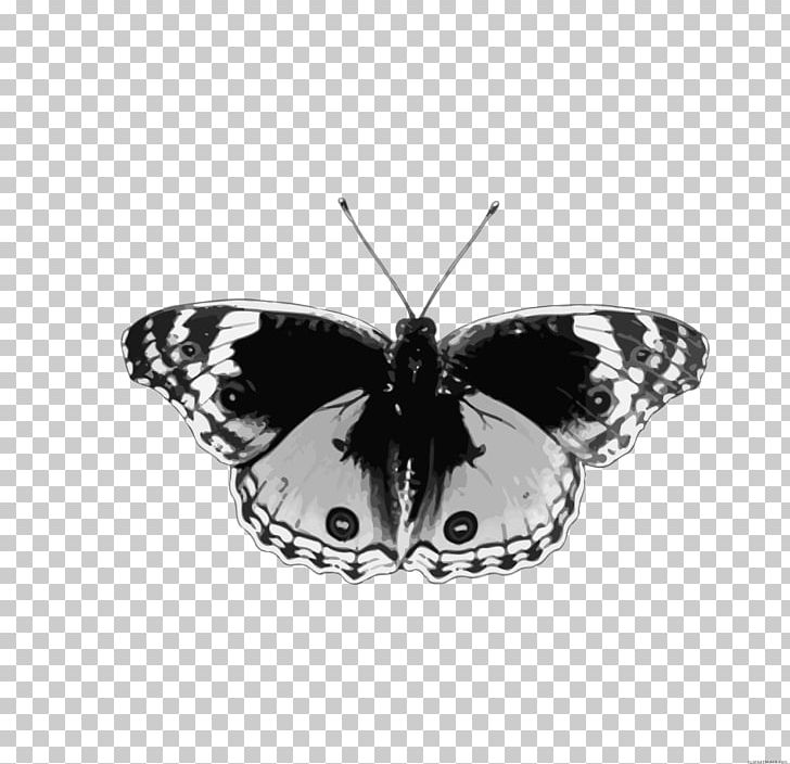 Brush-footed Butterflies Butterfly Butterflies And Bullets: Poetry PNG, Clipart, Animal, Arthropod, Black And White, Brush Footed Butterfly, Butterflies And Moths Free PNG Download