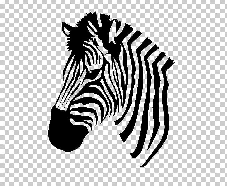Coloring Book Zebra PNG, Clipart, Animals, Black, Black And White, Child, Color Free PNG Download