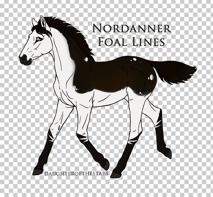 Mule Foal Stallion Colt Mustang PNG, Clipart, Bridle, Buckskin, Colt, Cream Locus, Flaxen Gene Free PNG Download