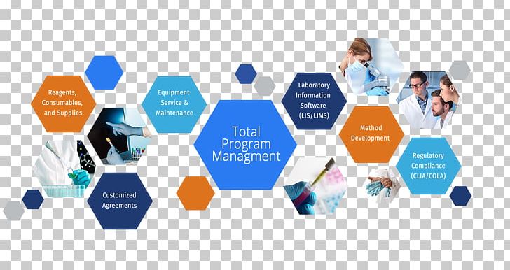 Program Management Business Laboratory Information Management System Project Management PNG, Clipart, Business, Business Consultant, Collaboration, Computer Network, Logo Free PNG Download