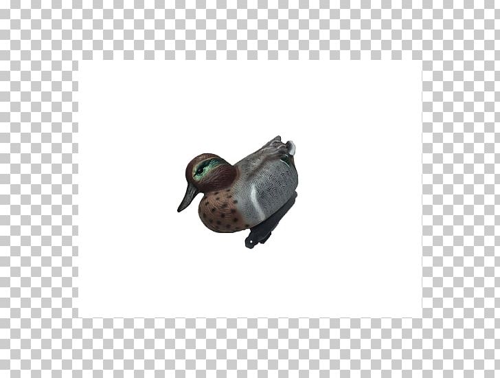 Duck Mallard Eurasian Teal Common Pochard Plastic PNG, Clipart, Animals, Beak, Bird, Common Pochard, Duck Free PNG Download