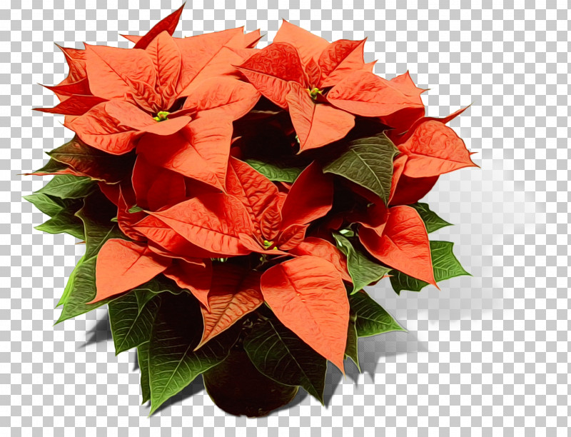 Origami PNG, Clipart, Bouquet, Cut Flowers, Flower, Leaf, Origami Free PNG Download