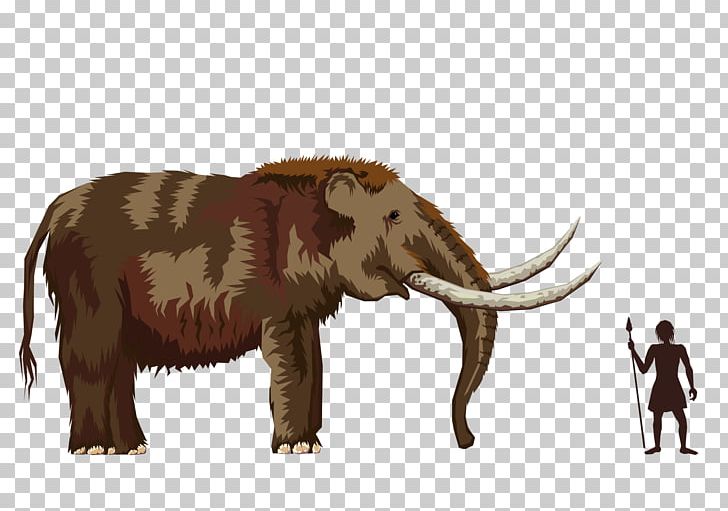 African Elephant Mastodon Elephantidae Woolly Mammoth Ice Age PNG, Clipart, Animal, Cattle Like Mammal, Caveman, Elephant, Elephantidae Free PNG Download