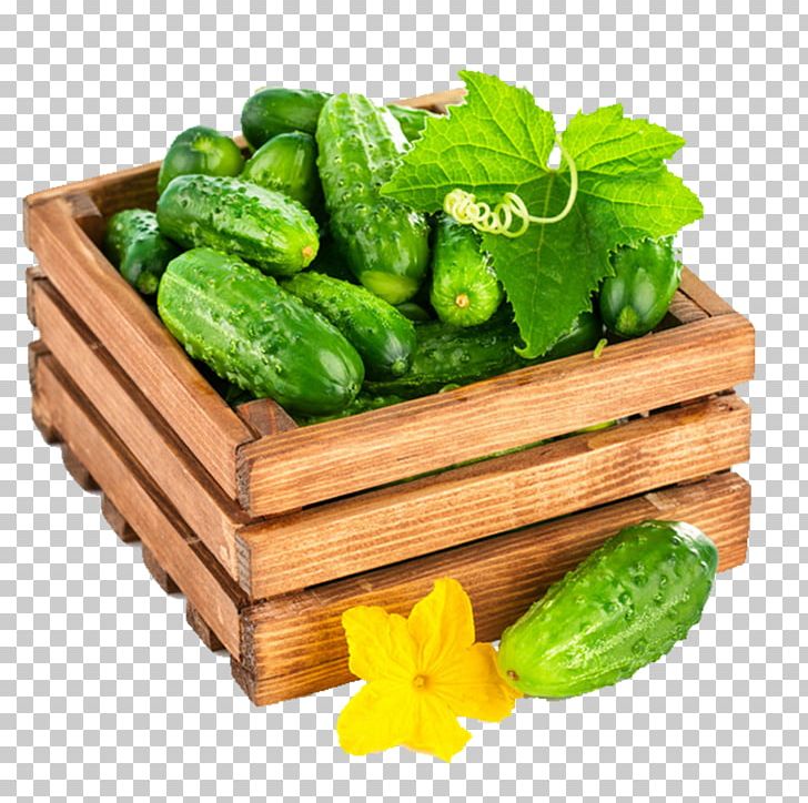 Flower Leaf Cucumber Wood Stock Photography PNG, Clipart, Can Stock Photo, Cruciferous Vegetables, Cucumber Cartoon, Cucumber Juice, Food Free PNG Download