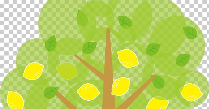Lemon Fruit Tree PNG, Clipart, Branch, Circle, Citrus, Free Content, Fruit Free PNG Download