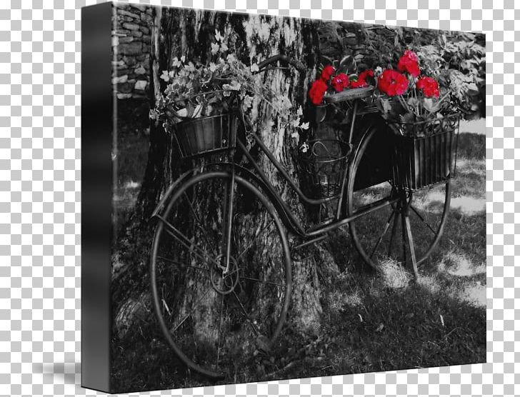 Black And White Monochrome Photography Gallery Wrap Motor Vehicle PNG, Clipart, Art, Bicycle, Black And White, Canvas, Car Free PNG Download