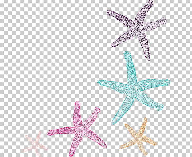 Coral Starfish Computer Icons PNG, Clipart, Animals, Body Jewelry, Clip Art, Color, Computer Icons Free PNG Download