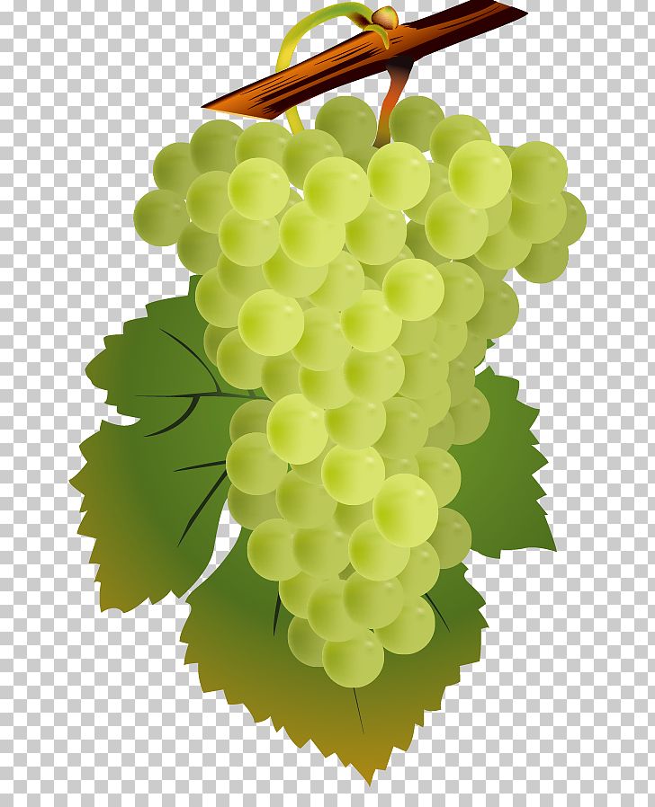 Red Wine White Wine Common Grape Vine Cahors AOC PNG, Clipart, Encapsulated Postscript, Food, Fruit, Fruit Nut, Grape Free PNG Download