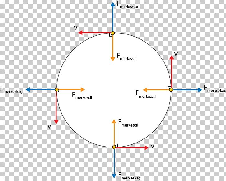centripetal force free body diagram