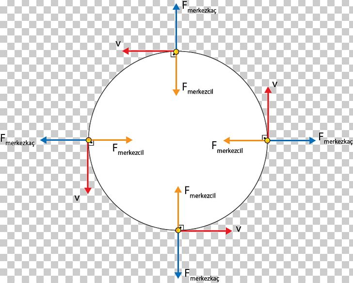 31 Free Body Diagram Centripetal Force - Wiring Diagram Database