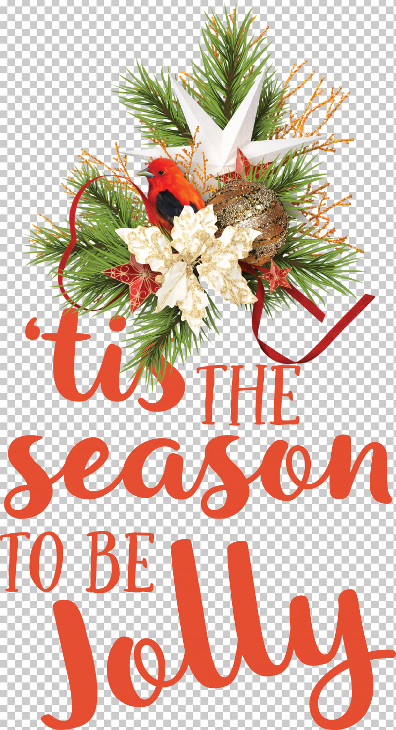 Floral Design PNG, Clipart, Bauble, Christmas Day, Christmas Tree, Conifers, Cut Flowers Free PNG Download