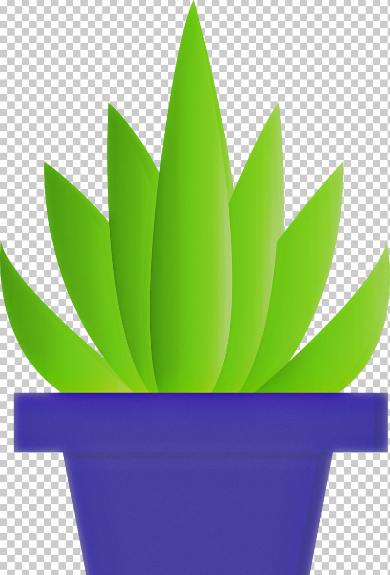 Flowerpot Green Leaf Houseplant Plant PNG, Clipart, Agave, Aloe, Flower, Flowerpot, Green Free PNG Download