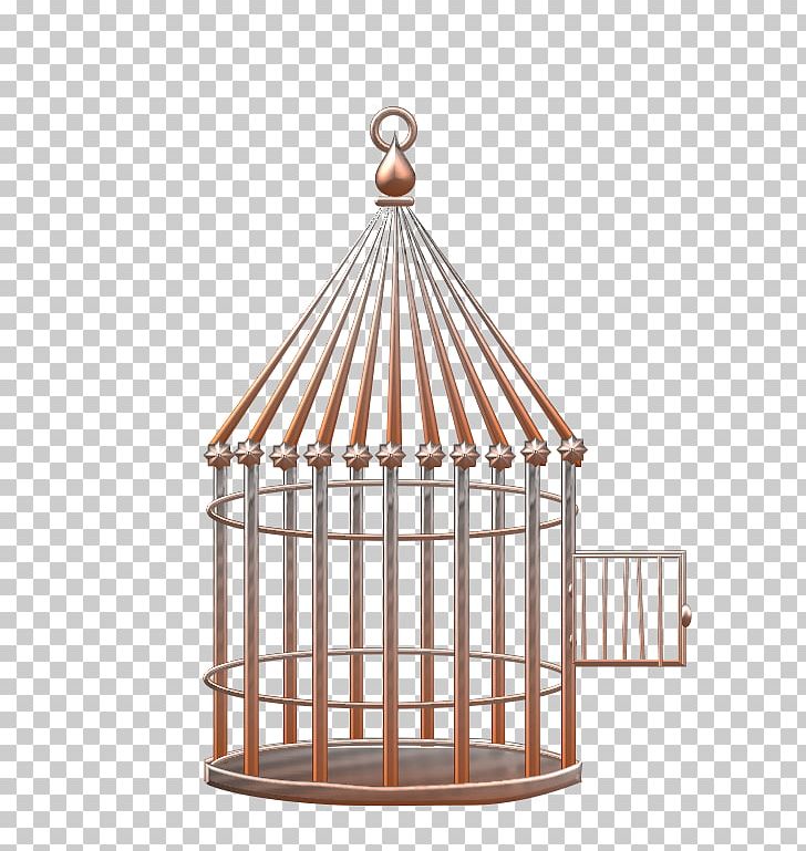 Birdcage Birdcage Common Ostrich Drawing PNG, Clipart, Aile, Animals, Bird, Birdcage, Bleu Free PNG Download