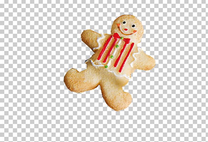 Biscuit Gingerbread Man Cookie PNG, Clipart, Biscuit, Biscuits, Christmas Decoration, Christmas Frame, Christmas Lights Free PNG Download