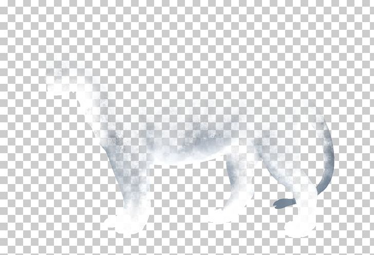Canidae Cat Dog White Fur PNG, Clipart, Animals, Black And White, Canidae, Carnivoran, Cat Free PNG Download