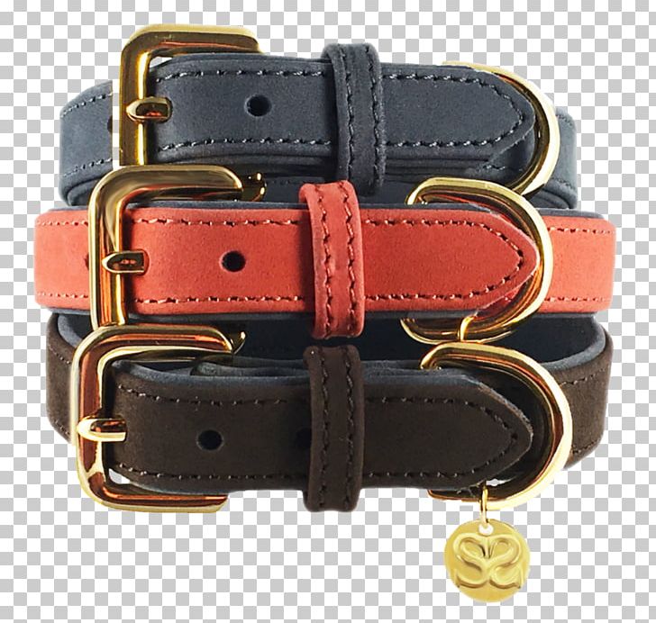 Dog Collar Leash Leather PNG, Clipart, Animals, Belt, Collar, Dog, Dog Collar Free PNG Download