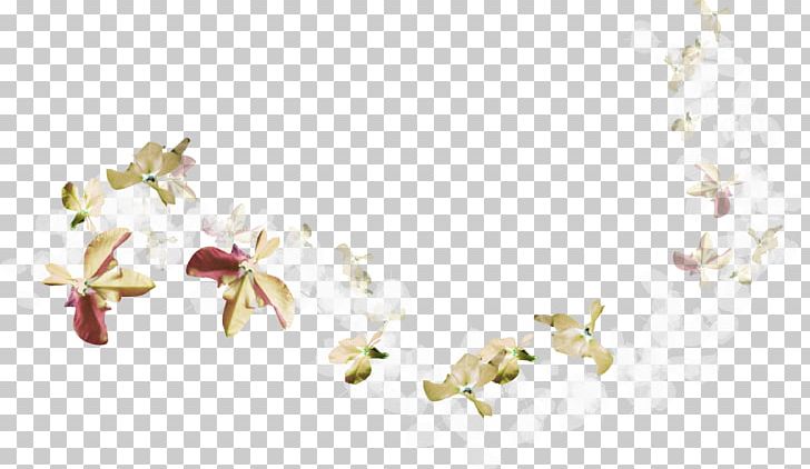Flower PNG, Clipart, 1080p, Blossom, Body Jewelry, Branch, Decor Free PNG Download