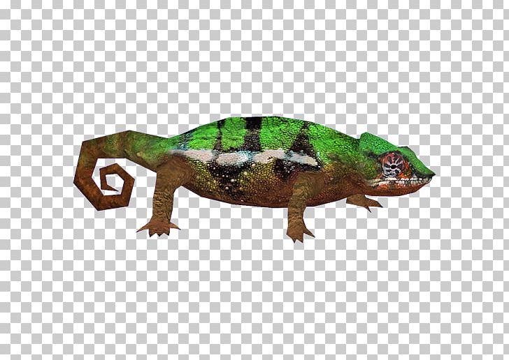 Reptile Lizard Chameleons Gecko Common Iguanas PNG, Clipart, Amphibian, Animal, Animals, Chameleon, Chameleons Free PNG Download
