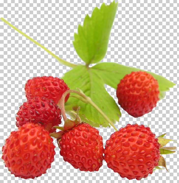 Wild Strawberry Amorodo Fruit PNG, Clipart, Accessory Fruit, Bilberry, Food, Fruit, Fruit Nut Free PNG Download