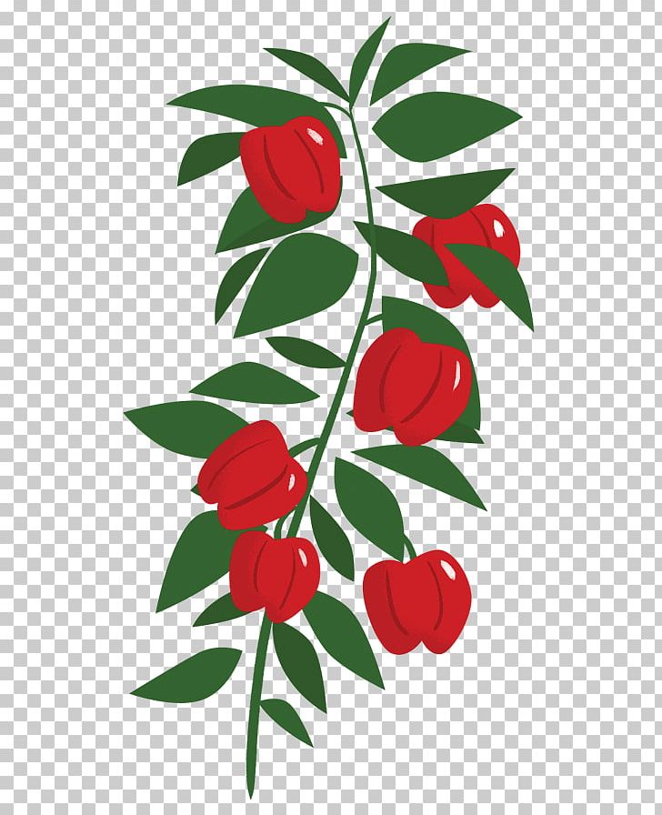 Floral Design Ireland Cut Flowers Potato Chip PNG, Clipart, Artwork, Branch, Cooking, Cut Flowers, Family Farm Free PNG Download