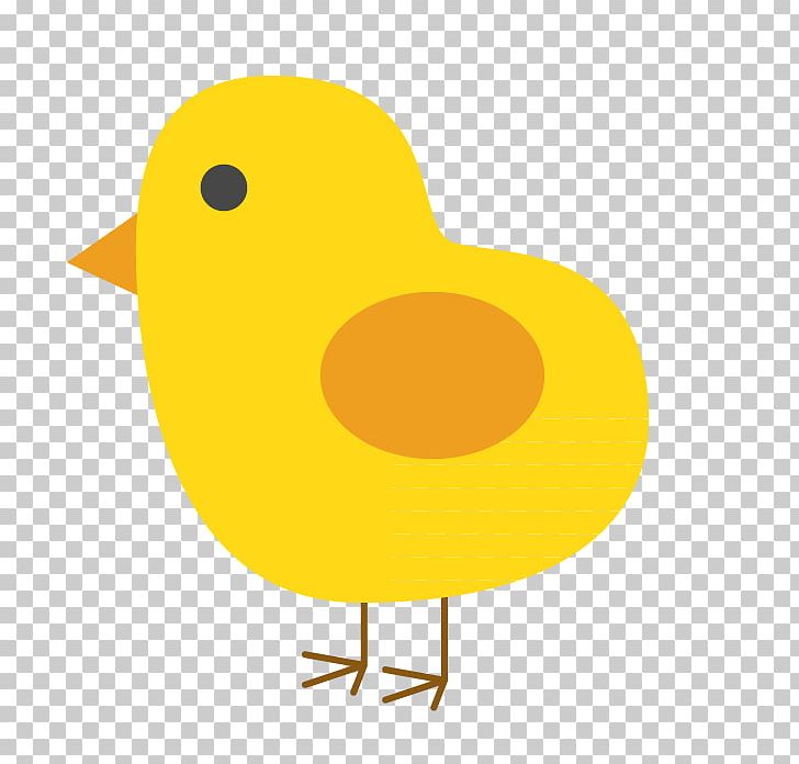 Kifaranga Duck Drawing PNG, Clipart, Animals, Baby Chicks, Beak, Bird, Chicken Free PNG Download
