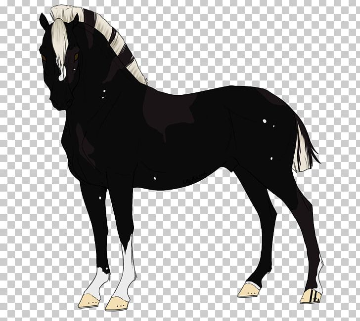 Stallion Mustang Mare Foal Halter PNG, Clipart,  Free PNG Download
