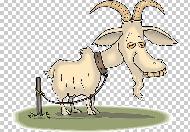 Boer Goat Sheep Cartoon Goat Farming PNG, Clipart, Animals, Boer Goat, Cartoon, Cattle Like Mammal, Cow Goat Family Free PNG Download