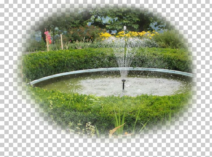 Water Resources Pond Water Feature Lawn PNG, Clipart, Garden Elements, Grass, Lawn, Pond, Water Free PNG Download
